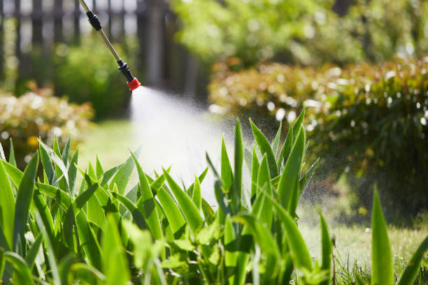 Tamper-Resistant Bait Stations for Rodents in Perris