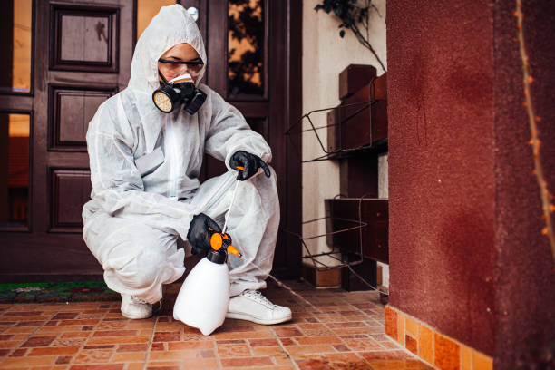 Attic and Crawl Space Rodent Treatment in Perris